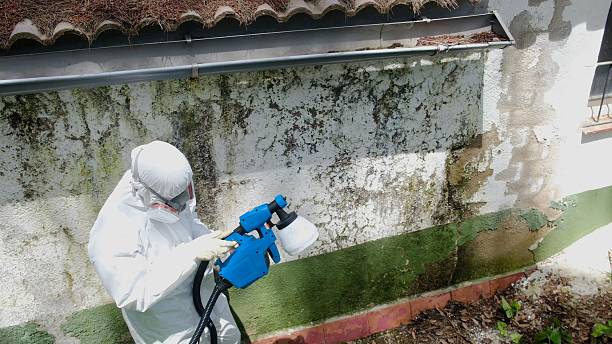Top rated local Mold Remediation specialists in Duncannon, PA